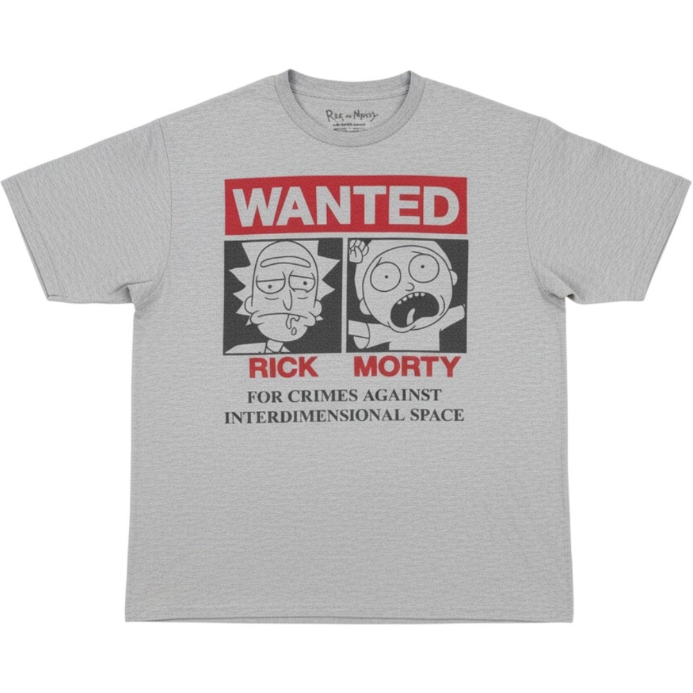Rick and Morty Wanted Poster Graphic T-Shirt Gray Adult Swim Ripple Junction XL